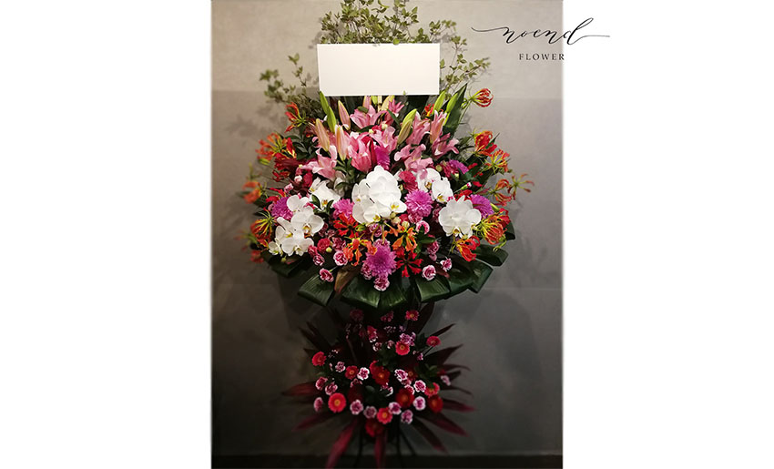 noendflower-st017